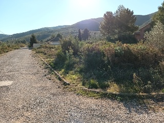 Llanorel 14