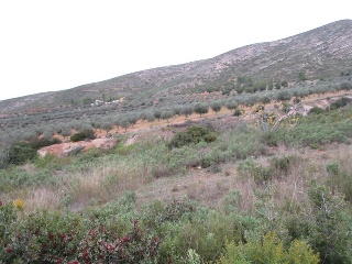 Llanorel 5