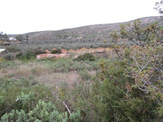 Llanorel 8