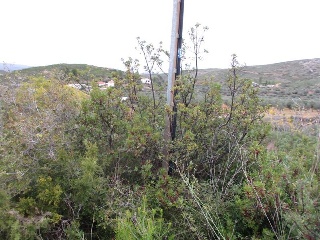 Llanorel 9