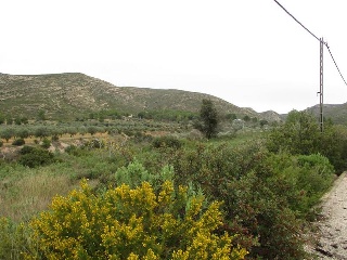 Llanorel 11