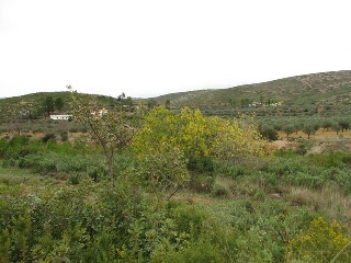 Llanorel 13