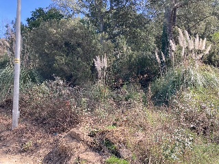 Satèl.lits 6