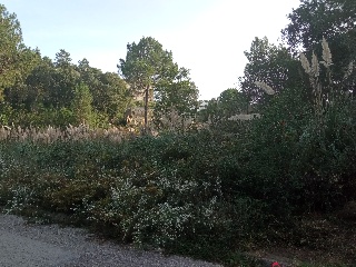 Satèl.lits 7