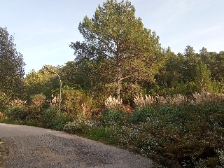 Satèl.lits 8