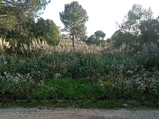 Satèl.lits 9