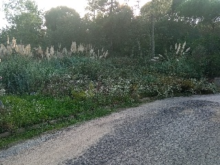 Satèl.lits 10