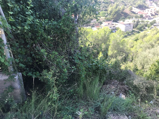 Pisos banco Castellet i la Gornal