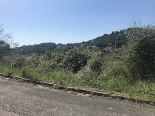 Roma-Els Rosers 3