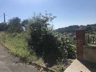 Roma-Els Rosers 5