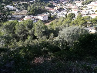 Roma-Els Rosers 9