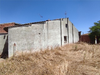 Cruz Ribera 2