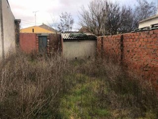 Cruz Ribera 13