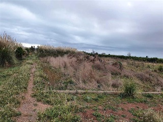 Dobla 4