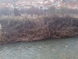 Dobla 6