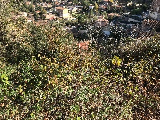 Pins Dels 10