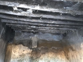Leña 7