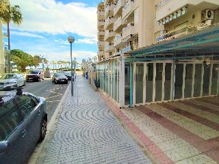 Pau Casals 11