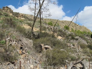 Las Casicas 4