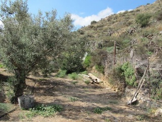 Las Casicas 7