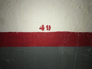 Pau Sicart 5