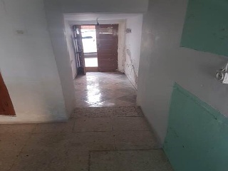 Tejar Bajo 3