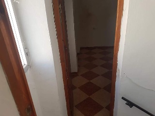 Tejar Bajo 6