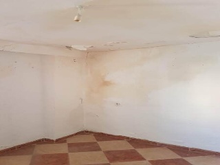 Tejar Bajo 7