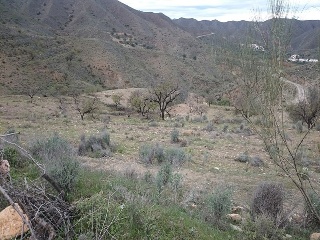 Paraje Arroyo Del Aceituno 2