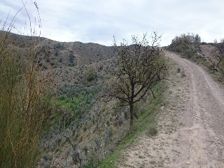 Paraje Arroyo Del Aceituno 3