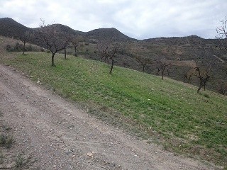 Paraje Arroyo Del Aceituno 2