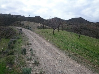 Paraje Arroyo Del Aceituno 3