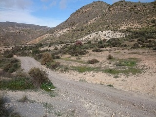 Paraje Collado Del Almendro Barriada Polopos 2