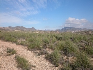 Paraje La Majada Blanca 4