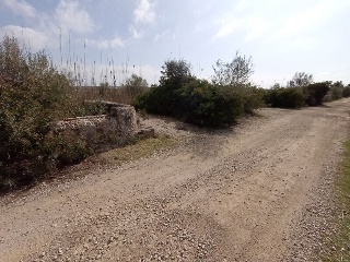 S. Albufera 4