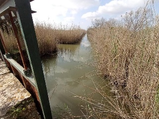 S. Albufera 6