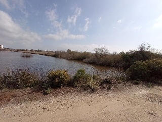 S. Albufera 7