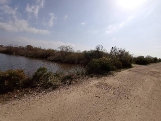 S. Albufera 8
