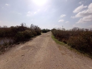 S. Albufera 9