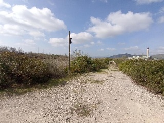 S. Albufera 10