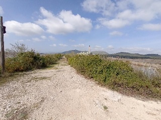 S. Albufera 11