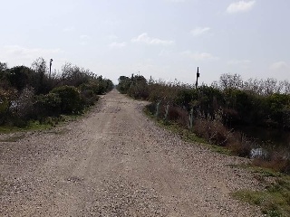 S. Albufera 12