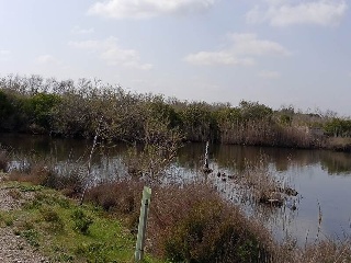 S. Albufera 13