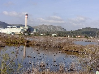 S. Albufera 16