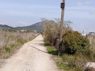 S. Albufera 17
