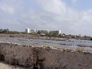 S. Albufera 18