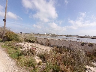 S. Albufera 19