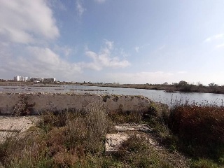 S. Albufera 20