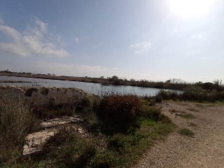 S. Albufera 21