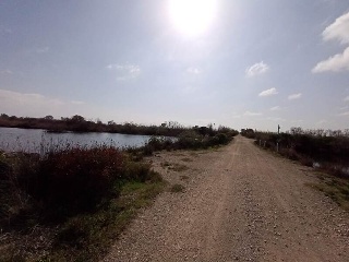 S. Albufera 22